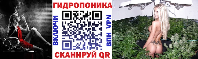 KRAKEN ссылка  Ладушкин  Бошки марихуана сатива 